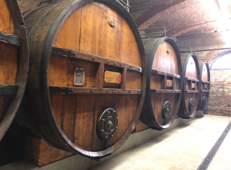 コルソ ヴィーニ イタリー（イタリア ワイン講座）
